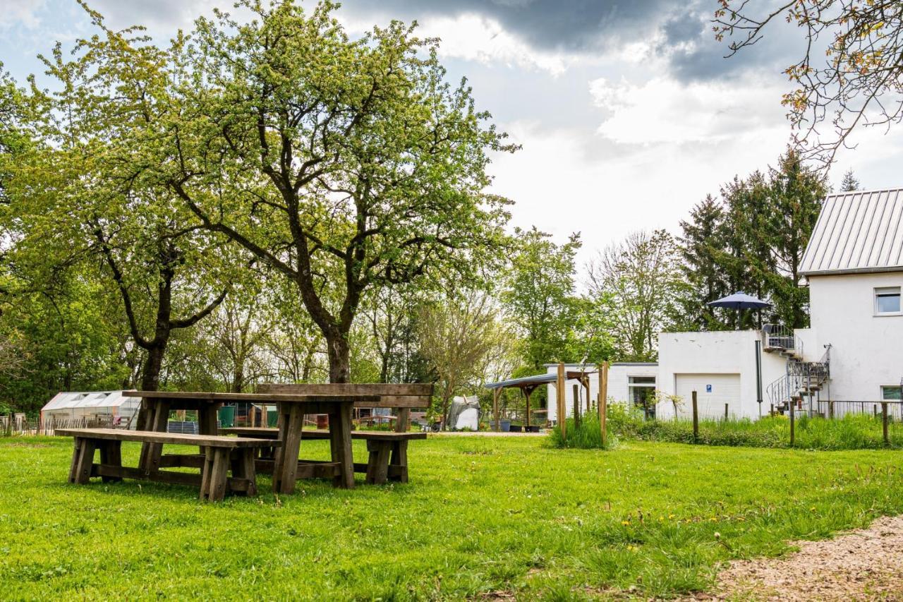 Eifel-Apartments Orsfeld Exterior photo