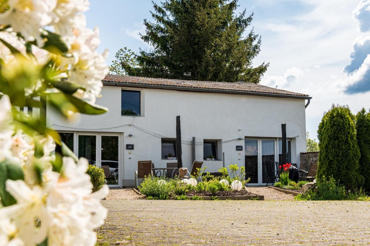 Eifel-Apartments Orsfeld Exterior photo