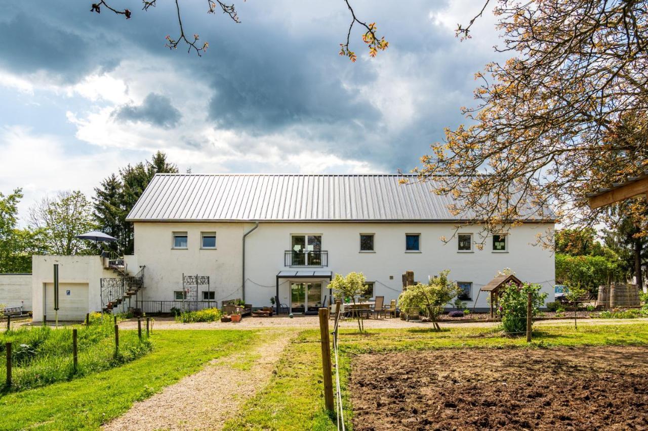 Eifel-Apartments Orsfeld Exterior photo